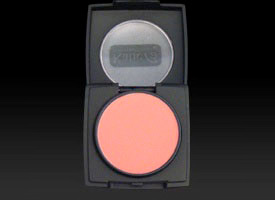 Blush Pallete